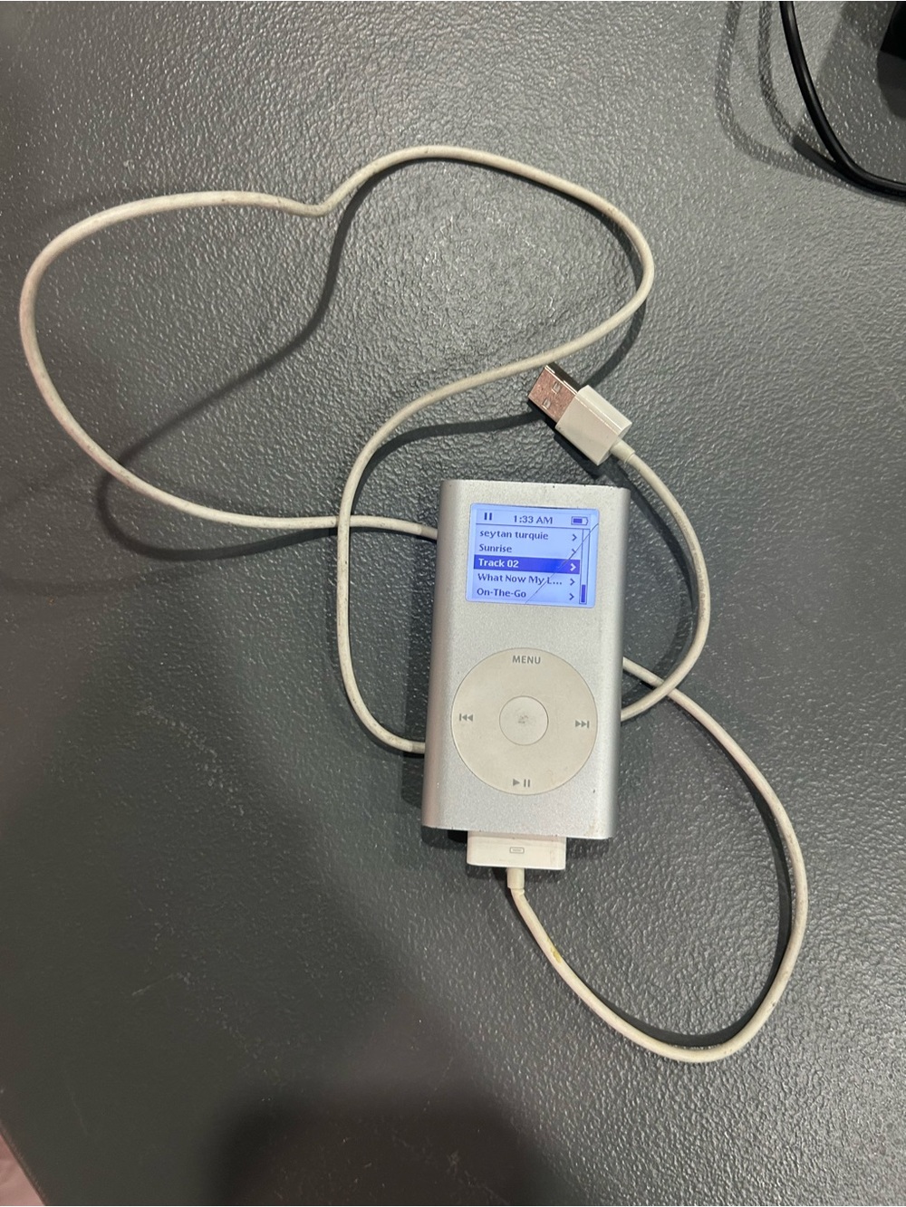 iPod nano 3rd Gen with charger
